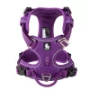 TRUE LOVE Pet Harness No Pull Nylon Reflective Dog Harness Adjustable Comfortable Control Step-in Brilliant Truelove TLH5654 - Image 13