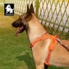 TRUE LOVE Pet Harness No Pull Nylon Reflective Dog Harness Adjustable Comfortable Control Step-in Brilliant Truelove TLH5654 - Image 6