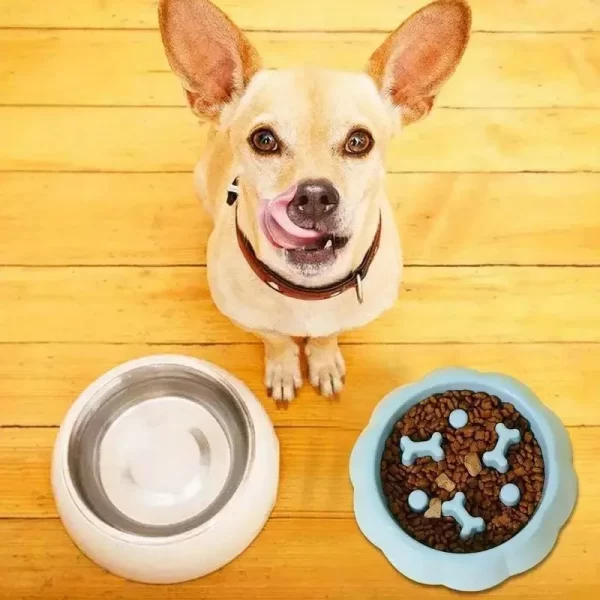 Pet supplies Color Slow Feeder Cat Bowl Anti-choking Plastic Dog Puzzle Food Bowl, Dog Water Basin For Anxiety Relief - Image 6