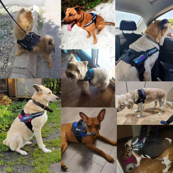 Dog Harness NO PULL Reflective Breathable Adjustable Pet Harness Vest with ID Custom Patch Outdoor Walking Dog Supplies - Image 4