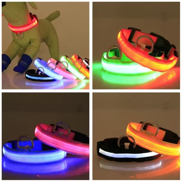 USB Charging LED Dog Collar Dog Safety Night Light Flashing Necklace Fluorescent Collars Pet Supplies - Image 3