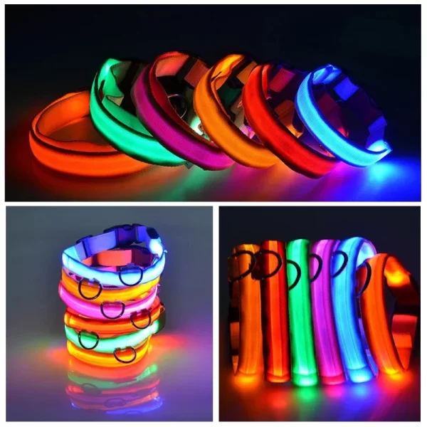 USB Charging LED Dog Collar Dog Safety Night Light Flashing Necklace Fluorescent Collars Pet Supplies - Image 2