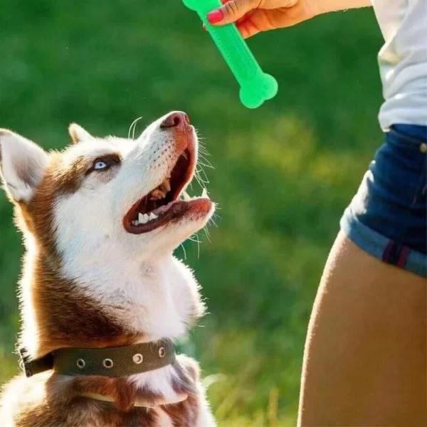 Hot Sale Pet Dog Chew Toys Rubber Bone Toy Aggressive Chewers Dog Toothbrush Doggy Puppy Dental Care For Dog Pet Accessories - Image 2