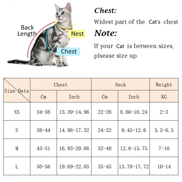 Cat Puppy Outdoor Walking Supplies Fashion Pet Harness and Leash Set for Small Dogs Cats Breathable Durable Kitten Harnesses - Image 2