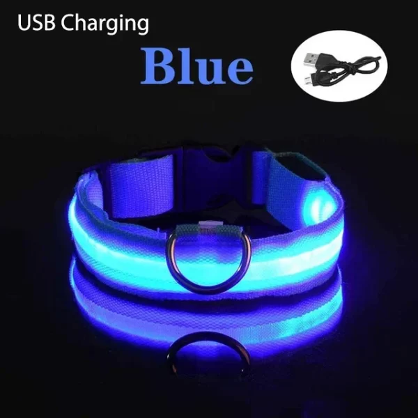 USB Charging LED Dog Collar Dog Safety Night Light Flashing Necklace Fluorescent Collars Pet Supplies - Image 7