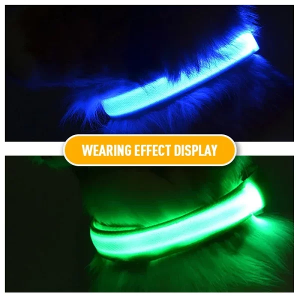 USB Charging LED Dog Collar Dog Safety Night Light Flashing Necklace Fluorescent Collars Pet Supplies - Image 4