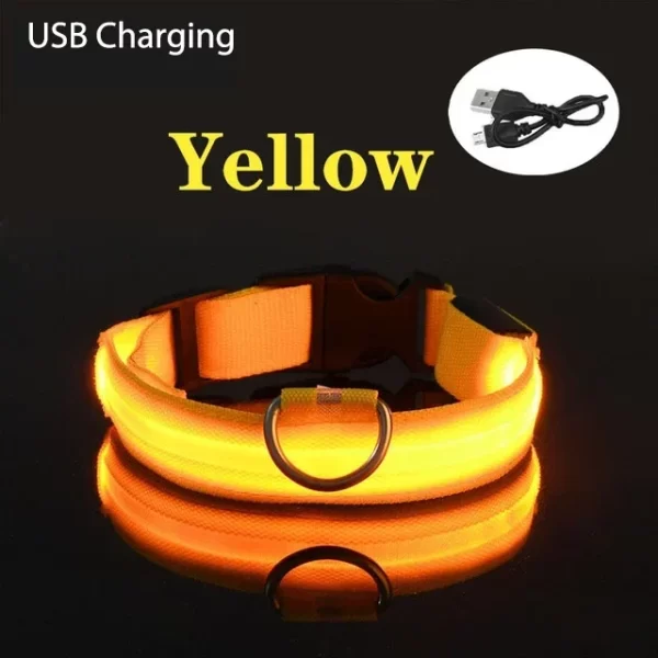 USB Charging LED Dog Collar Dog Safety Night Light Flashing Necklace Fluorescent Collars Pet Supplies - Image 13