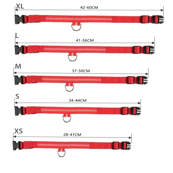 USB Charging LED Dog Collar Dog Safety Night Light Flashing Necklace Fluorescent Collars Pet Supplies - Image 6